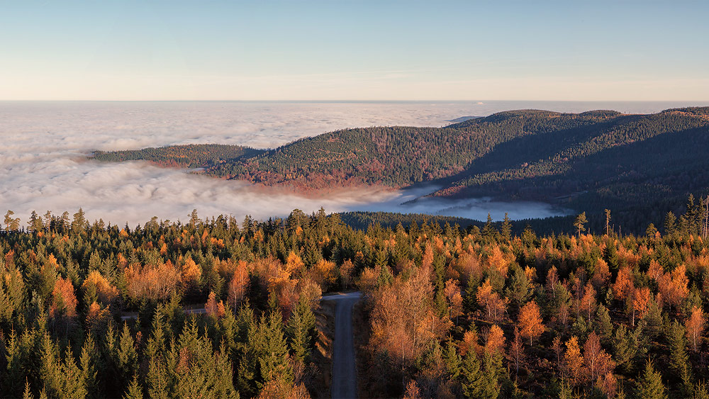 Ferienhaus Enztalblick in Enzklösterle im Nordschwarzwald - Wandervorschlag Hohlohsee - Herbstlicher Blick über die Rheinebene bei Hochnebel